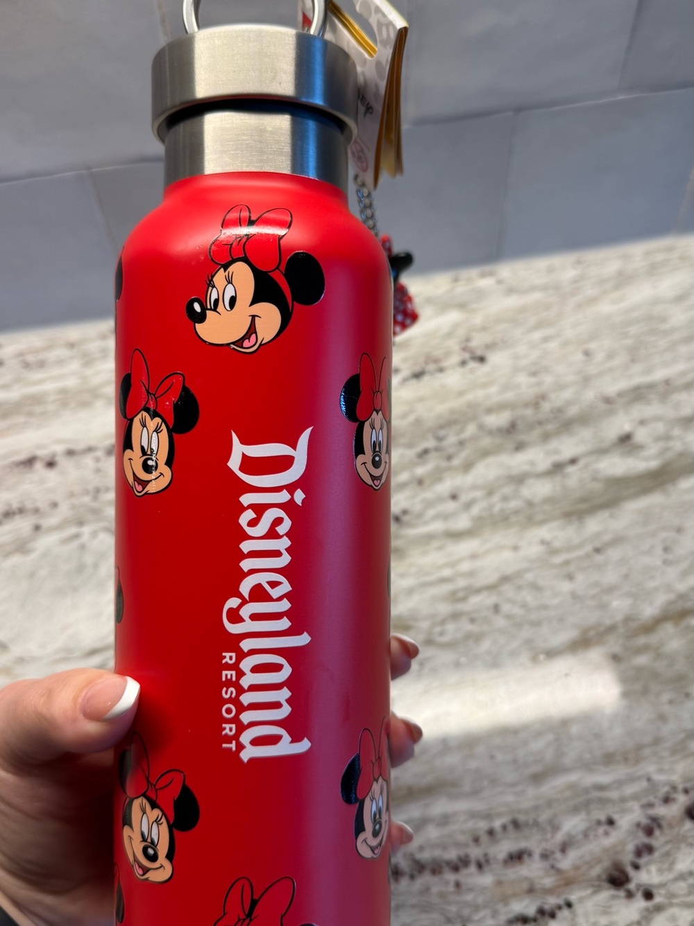 Disneyland Resort Minnie Mouse Red Stainless Water Bottle